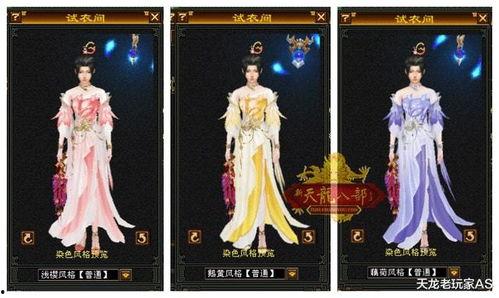 天龙皮肤爆料最新消息,全新视觉盛宴，神秘角色即将亮相